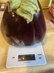 thumbnail_IMG_5927.thumb.jpg.ce96ca518e99597edc4a255dfbbf53ca.jpg