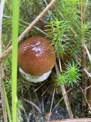 thumbnail_IMG_5978.thumb.jpg.d35edccd93192f854b40cc1a40f286e2.jpg