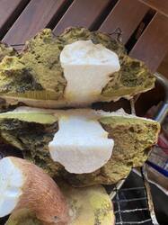 thumbnail_IMG_6030.thumb.jpg.c0935ecbe7b58a41c1934bf648185fe0.jpg