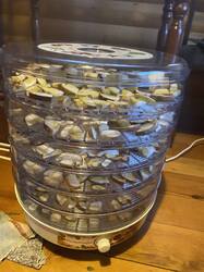thumbnail_IMG_6033.thumb.jpg.1c86381799b7cc8d6bbfdb91171599bd.jpg