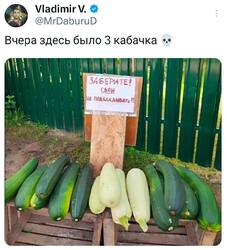 wtWJpCGjxVINnGKom3GN7ZSCyou6rw-kztAI7CWNp0pGDcq8X6bWmD7fzLKDCsME536WkoOzAM9Vqv-4s9A9Fxpf.thumb.jpg.ac39bace48303b86affd5d1efc1be809.jpg