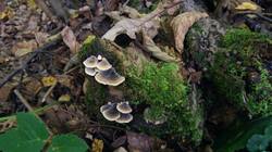 1101589535_09-25-22-(4).thumb.jpg.5771042efc2fd8d0727cad25a7483a92.jpg