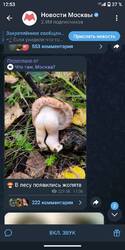 1290088594_.thumb.jpg.63fed93fcbc0d1d528f8b8ff610fa83d.jpg