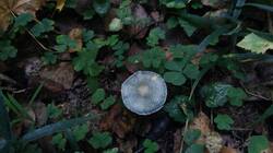 1410376428_09-25-22-(1).thumb.jpg.a512ab66c5c74ab8cee142c3582ac042.jpg