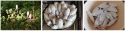 1698120586_.thumb.PNG.6e74c74c0647ac43d686a2dc479825ee.PNG