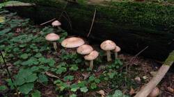 1784376929_09-25-12-(2).thumb.jpg.ce91e046afcc072d394381e160e6a729.jpg