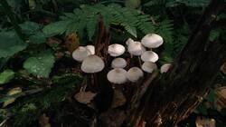 1905737191_09-25-09-(1).thumb.jpg.71d052cbf0f17f5bd9d63029a0ed7f33.jpg