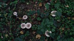 2012027115_09-25-10-(1).thumb.jpg.67aa33d5c7eb0589289cb7488a1eb3e1.jpg