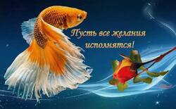2015993356_.thumb.jpg.8bccbc2b1edcca2bbf3cd22cbbdebc34.jpg