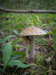 20230819-MRK30824-Enhanced-NR.thumb.jpg.ed5b70d8f0021211438d247e227a4bd1.jpg