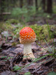 20250830-M3JR4799.thumb.jpg.b212ff34a6b8c6cf9874fc44eba6e281.jpg