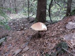 20250902_114946.thumb.jpg.8374991cc336a859e7d62ab0cb260c66.jpg