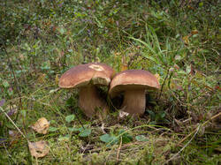20250910-MRK32121-Enhanced-NR.thumb.jpg.97490d233b128c368bdde555b079842f.jpg