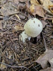 20250914_110105.thumb.jpg.d8a7ca40cdcfb32cc3365bc8bcdcb778.jpg