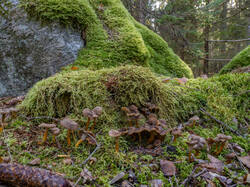 20250927-MRK33186-Enhanced-NR.thumb.jpg.95bf38871df12a03cc3bb79adb80697a.jpg