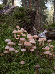 20250927-MRK33357-Enhanced-NR.thumb.jpg.1ae3e041b9c755f1d9cc0d7edad2835e.jpg