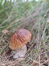 22.thumb.jpg.38a6b3b109a0e0069d8559bb5eb55651.jpg