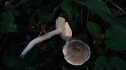 283930909_09-25-05-2(3).thumb.jpg.49b44ff29b181e51785fb1cd964c98ca.jpg