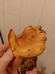 4.thumb.jpg.64f38d9fdf2125caf0452a8db58712af.jpg