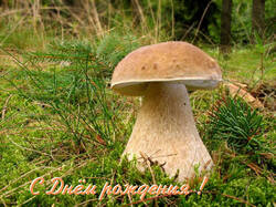 439013754_K1024_IMG_87770Kopie.thumb.jpg.f2665d3e3b19c35d4881b9df77c58539.jpg