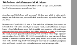 859683831_2025-09-1611_40_27-ChristensenHeilman-Clausen2013ThegenusTricholoma.pdf-AdobeAcrobatRead.thumb.png.2f8d38d1c181b54562d63f4bd3b0c1d7.png