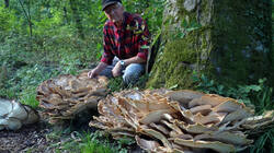 DSC02211.thumb.JPG.1fc9d7254cc0a8130c01df6a6c38846e.JPG