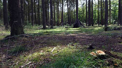 DSC02385.thumb.JPG.a2284baa05f2ce107c952eb07090be38.JPG