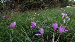 DSC02574.thumb.JPG.99f6aeca01183c516add47deb26ac047.JPG