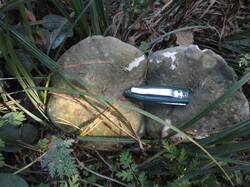 DSC06032.thumb.JPG.71ad893a2f54c2551c810e407474784b.JPG