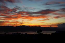 DSC06555.jpg
