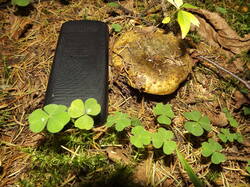 DSCF6112.JPG
