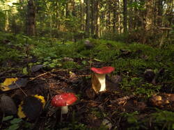 DSCF6127.JPG