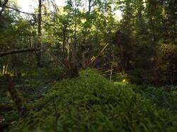 DSCF6129.JPG