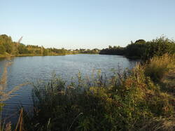 DSCF6142.JPG