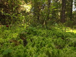 DSCF6145.JPG