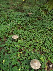 DSCF6148.JPG