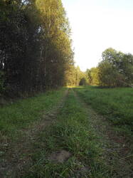 DSCF6198.JPG