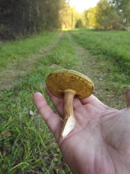 DSCF6199.JPG
