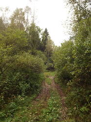 DSCF6229.JPG