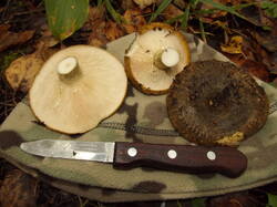 DSCF6240.JPG