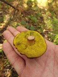 DSCF6255.JPG