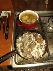 DSCF6260.JPG