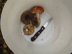 DSCF6268.JPG