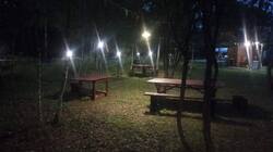 IMG-20250801-WA0044.thumb.jpg.9026ff2e56005b201dc98dd045446cc8.jpg