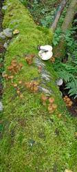IMG-20250902-WA0003.jpg