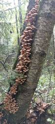 IMG-20250902-WA0005.jpg