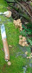 IMG-20250902-WA0006.jpg
