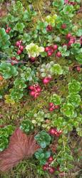 IMG-20250902-WA0011.jpg