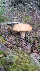 IMG-20250902-WA0016.jpeg