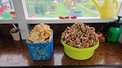 IMG-20250902-WA0021.jpg